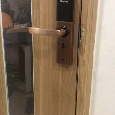 Khóa vân tay thông minh DEMAX SL266 AC APP WIFI