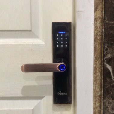 Khóa vân tay thông minh DEMAX SL266 AC