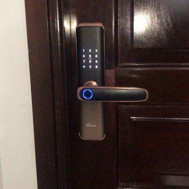 Khóa vân tay thông minh DEMAX SL268 AC APP WIFI