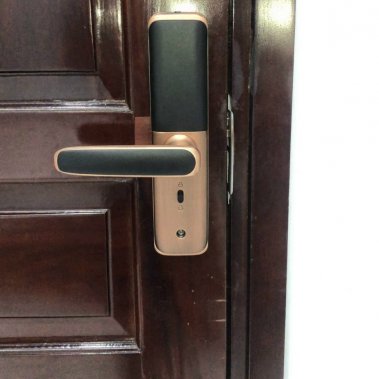 Khóa vân tay thông minh DEMAX SL268 AC