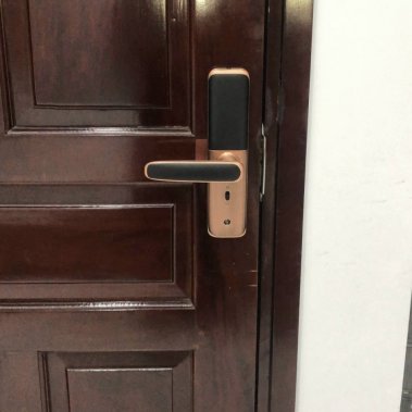 Khóa vân tay thông minh DEMAX SL268 AC APP WIFI