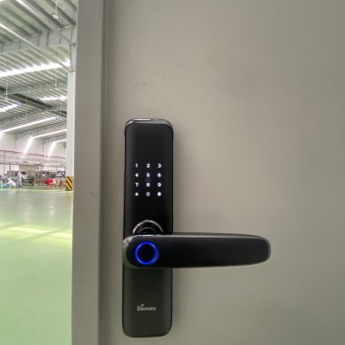 Khóa vân tay thông minh DEMAX SL268 GS APP WIFI