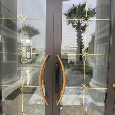 Khóa thông minh nhận diện khuôn mặt Face ID cho cửa nhôm sắt DEMAX EL902 BL APP WIFI - chống nước