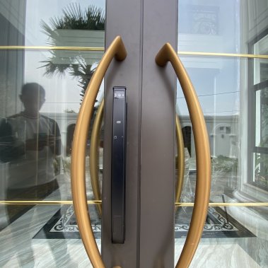 Khóa thông minh nhận diện khuôn mặt Face ID cho cửa nhôm sắt DEMAX EL902 BL APP WIFI - chống nước