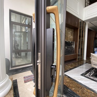 Khóa thông minh nhận diện khuôn mặt Face ID cho cửa nhôm sắt DEMAX EL902 BL APP WIFI - chống nước