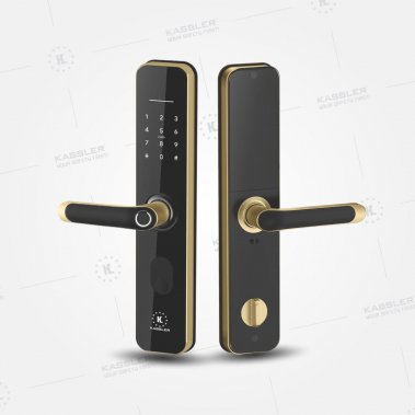 Khóa điện tử Kassler KL- 696 GOLD APP TTLOCK WIFI