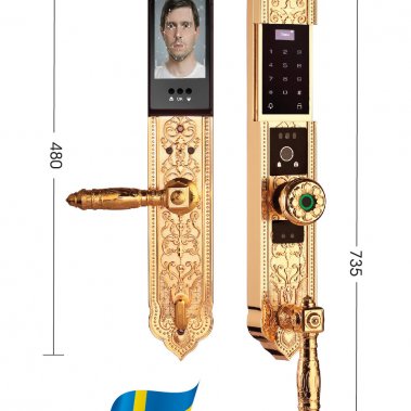 Khóa thông minh đại sảnh - biệt thự Face ID Demax SL938 GOLD - APP WIFI