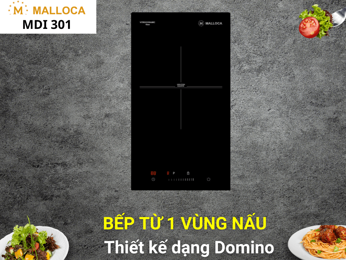 Bếp từ đơn domino Malloca MDI 301